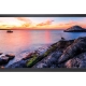 32 Inch Open Frame Monitor